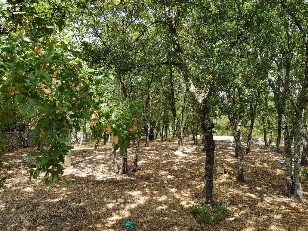 Villa Venus Woods Martina Franca Exterior photo