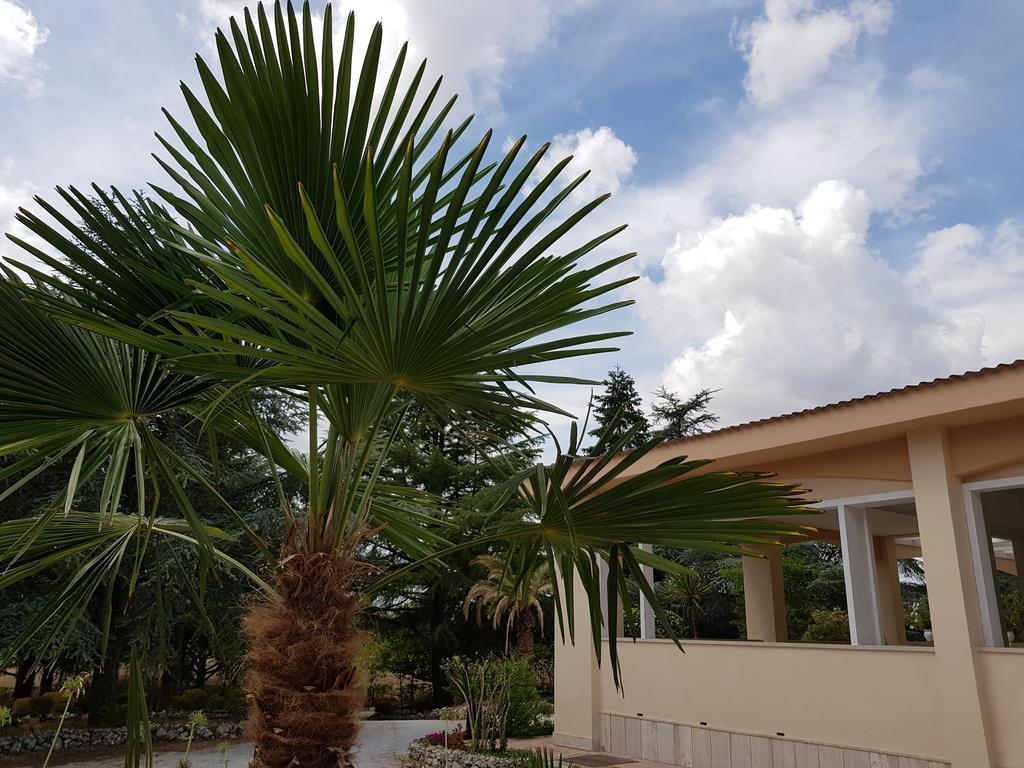 Villa Venus Woods Martina Franca Exterior photo