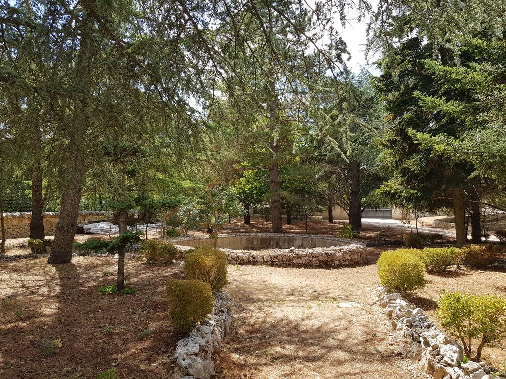 Villa Venus Woods Martina Franca Exterior photo